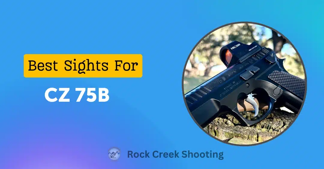 Best Sights for CZ 75B