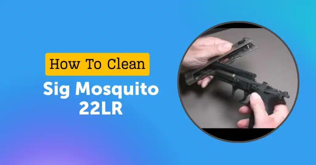 How To Clean a Sig Mosquito 22LR